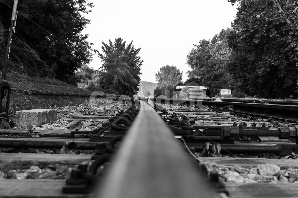 traintrack,기찻길,rail,레일,transportation,교통,railway,철도,폐역,벽제역,감성,교통,교통수단,traffic,transportation