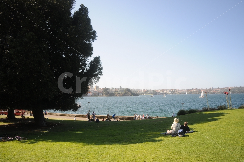 호주,시드니,공원,여유로움,한낮의여유로움,도시,풍경,city,landscape,해외,외국,세계,foreign,oversea,world,세계도시풍경,해외도시풍경,외국도시풍경,world cityscape,사람들,대중,군중,other people,crowd,휴식,힐링,rest,relaxation,healing,plant,식물,grass,잔디,outdoors,옥외,lawn,park