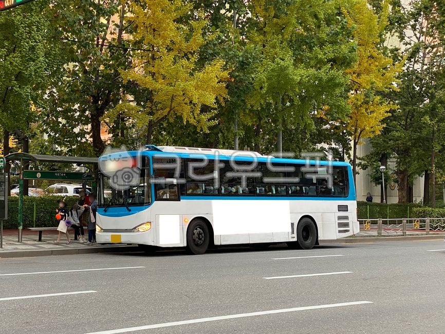 버스,버스광고,목업,목업이미지,광고,광고판,차량광고,시내버스광고,부착광고,옥외광고,판넬,비즈니스,상업광고판,도시배경,사인보드,상업광고,커머셜,비어있는,프레임,광고디자인,빈공간,배경,바탕,백그라운드,사각형광고판,차량,교통수단,bus,busadvertisement,mockup,mockupimage,billboard,vehicleadvertisement,citybusadvertisement,advertisement,outdooradvertisement,panel,business,commercialbillboard,citybackground,signboard,commercialadvertisement,commercial,free,frame,advertisingdesign,emptyspace,background