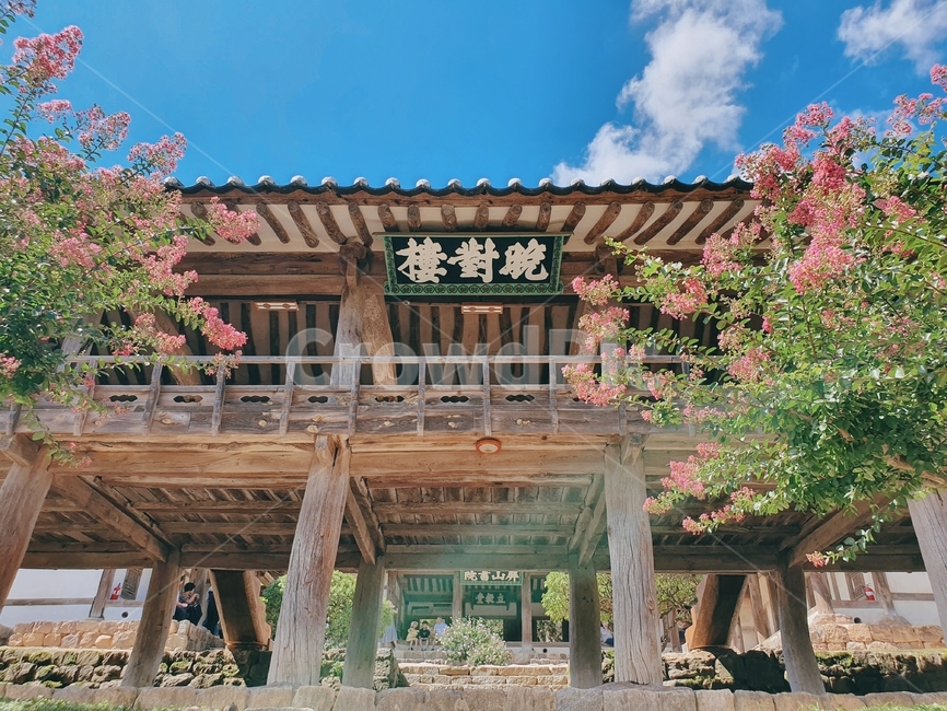 한국의멋,한옥,배롱나무,하늘,기와,한국,한국전통,한국문화,korean traditional,korean culture,건축물,건물외관,exterior,building,structure,architecture,construction