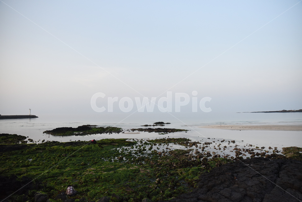 제주도,해변,제주해변,자연,바다풍경