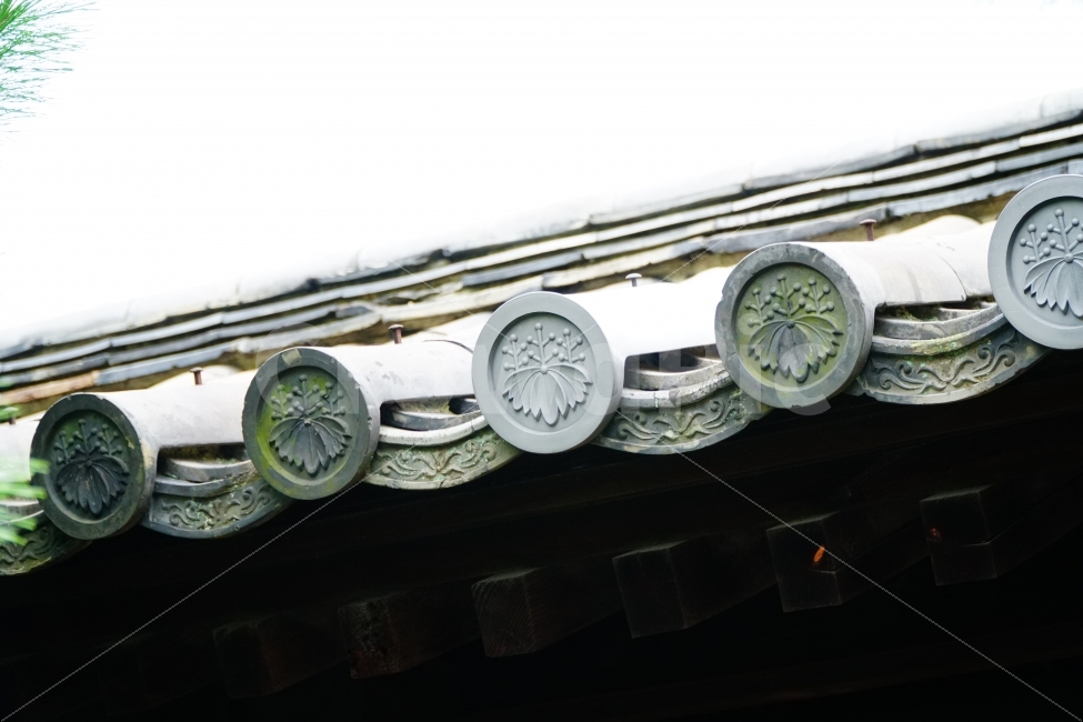 일본,문화,문화재,역사,유적,유적지,교토,외국,여행,해외,외국여행,해외여행,japan,Kyoto,건물,건축,목조,기와,지붕,불교,사찰,절,종교,목조건물,유네스코세계문화유산,일본식한옥,일본식가옥,동양,아시아,asia,history,히스토리,건축물,건물외관,exterior,building,structure,architecture,construction,해외,외국,세계,foreign,oversea,world