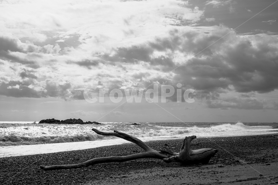 바다,무령왕릉,나무,파도,하늘,흑백,해변,바다,beach,sea,흑백,모노톤,monochrome,black and white