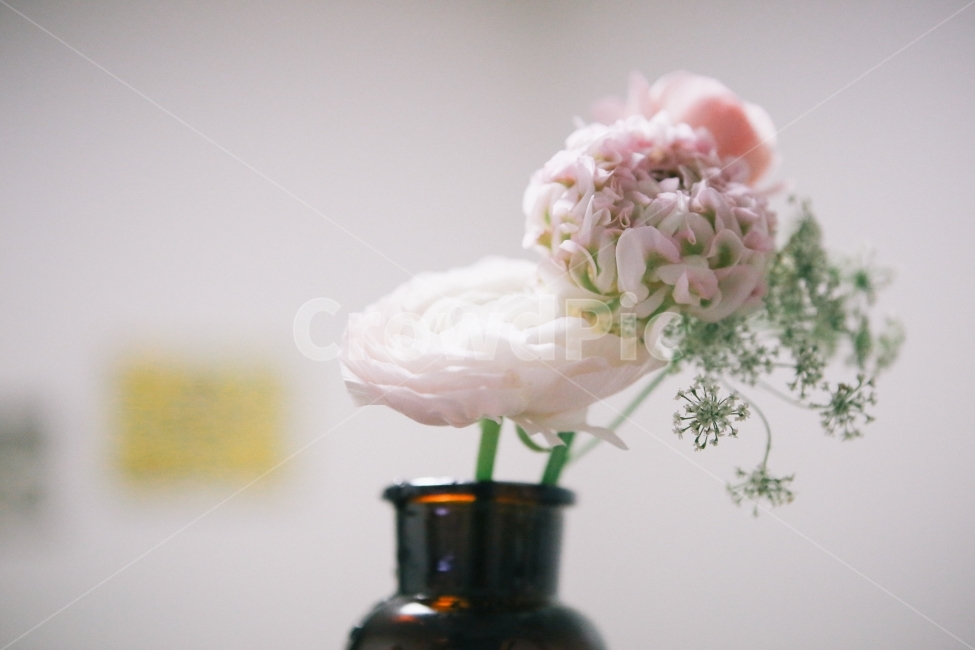 라넌큘러스,꽃,화병,flower,꽃사진,식물,자연,plants,nature,꽃,flower,실내용화초,화분,화초,house plant,감성,sensible,feeling,인테리어,실내디자인,interior design