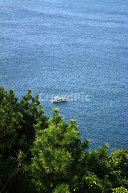 바다,나무,어선,배,풍경,자연,풍경,nature,landscape,land,땅,outdoors,옥외,plant,식물,vegetation,초목,vehicle,차량,watercraft,선박,transportation,교통,boat,보트,ocean,대양,water,물,sea