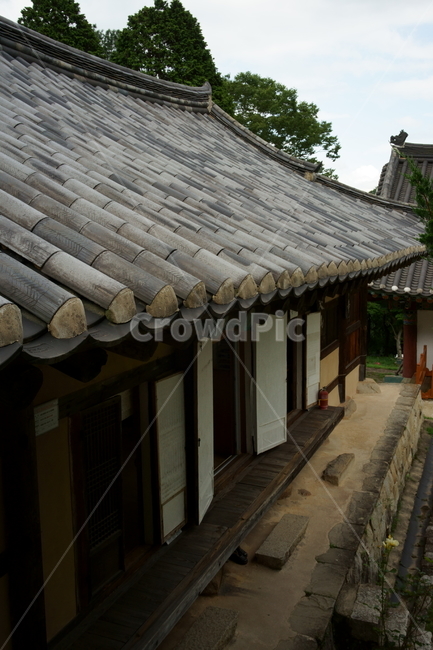 절,자연,전통,고요한,조용한,temple,koreatraditional,calm,mood