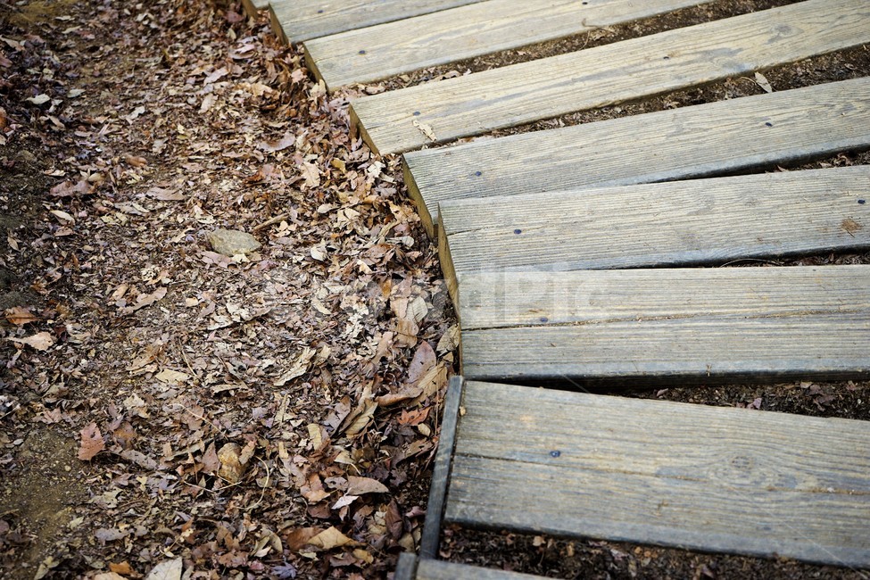 겨울산행,계절,계단,나무계단,낙엽,자연,풍경,nature,landscape,wood,나무