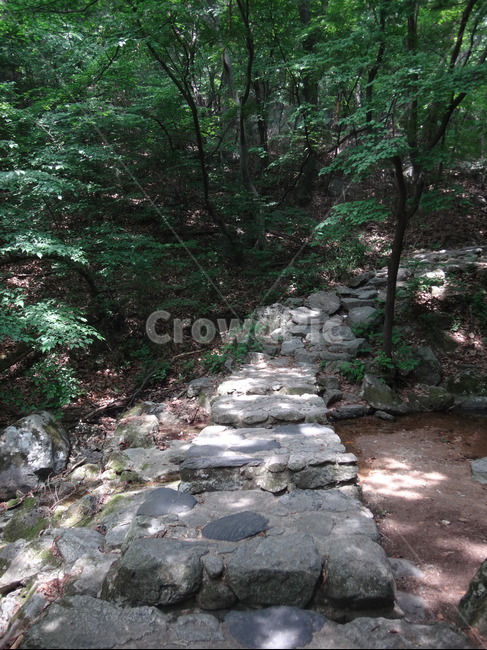 돌다리,계곡,숲속,자연,바위,자연,풍경,nature,landscape,flagstone,판석,slate,슬레이트