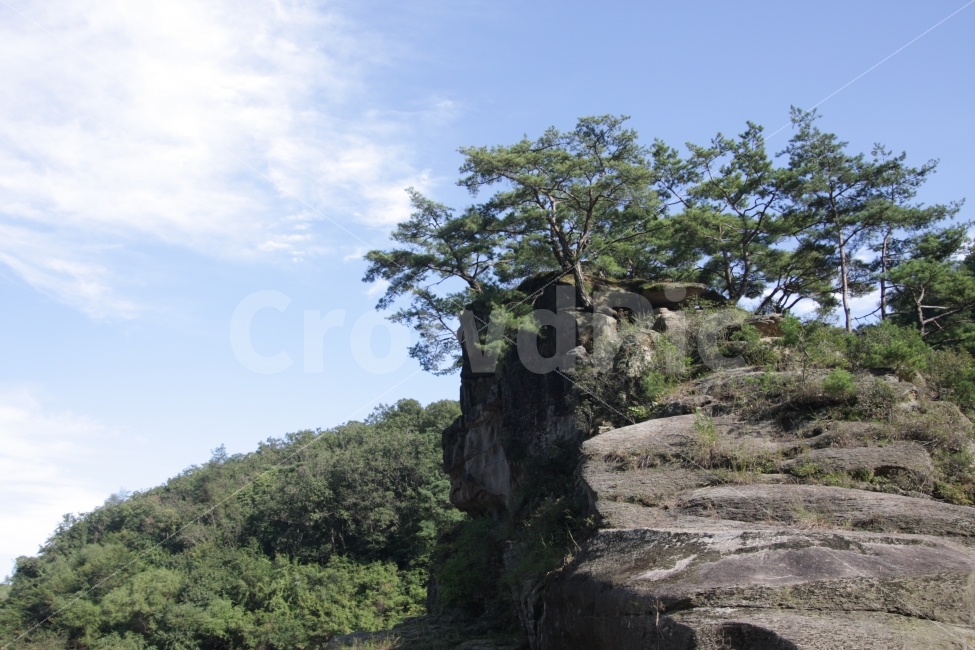 철원,고석정,바위,사람얼굴,풍경,자연,풍경,nature,landscape,outdoors,옥외,plant,식물,tree,나무