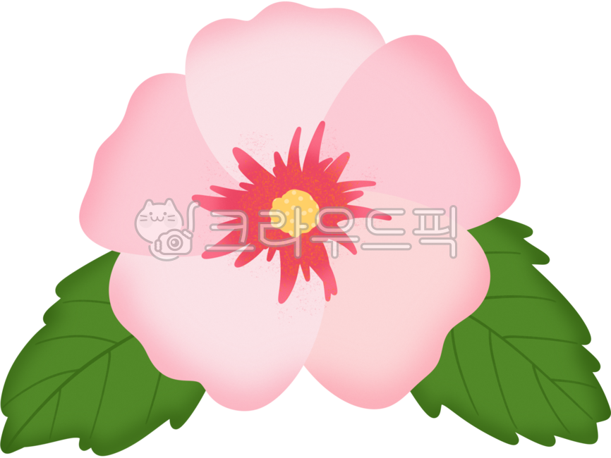 무궁화,국화,삼일절,독립,대한민국,대한독립만세,우리나라,나라,독립운동,광복절,만세,만세운동,안중근,유관순,태극기,보훈,애국,꽃,광복,정신,민족,단결