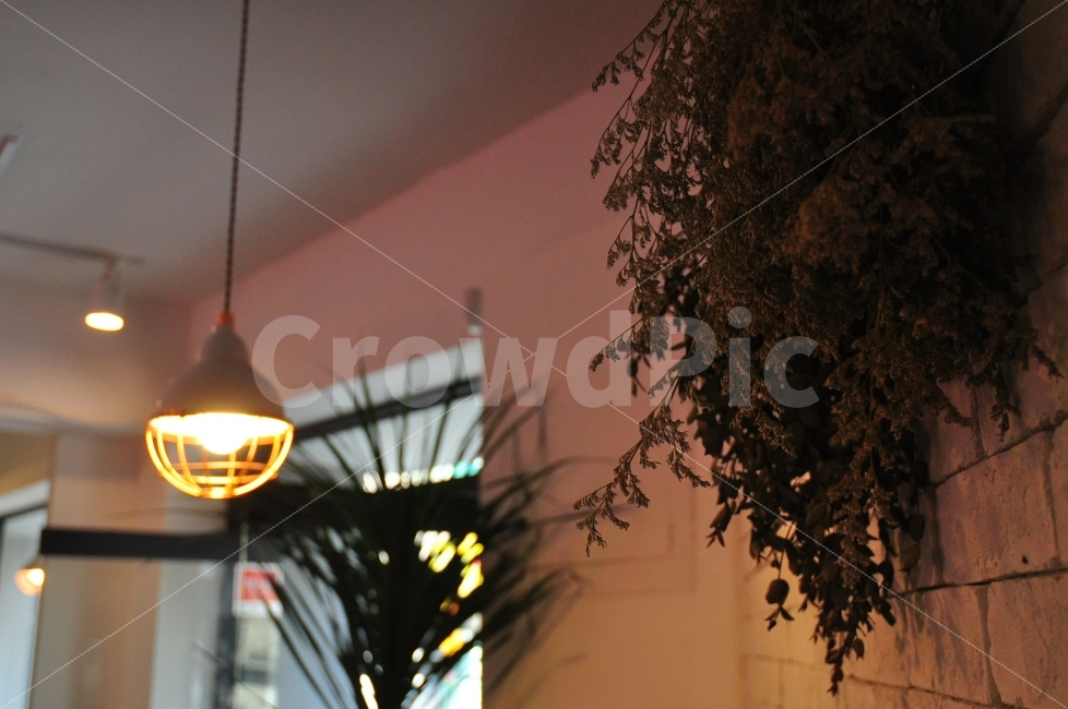 한국,카페,분위기,드라이플라워,조명,램프,중곡동,korea,cafe,mood,lamp,lights,dryplants,dryflowers,감성,sensible,feeling,인테리어,실내디자인,interior design