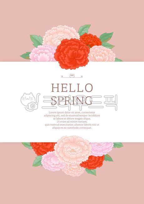 pink,Botanical,spring,spring flowers,botanical,plants,drawing,season,gay,border,floral,blossom,nature,bouquet,peony flower,leaf,flower,painting,background,plant,illustration,peony,frame