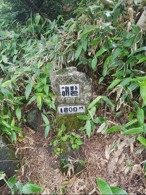 해발,1800m,한라산,산,높은곳