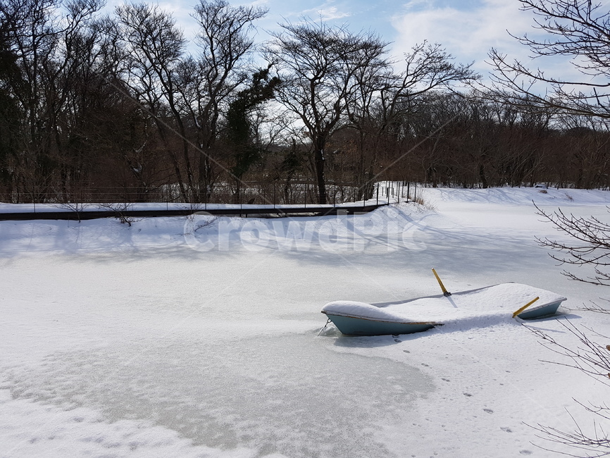 winter nature,winter,forest lake,winter lake,boat in the snow