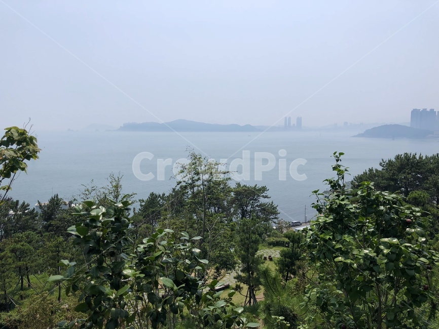 바다,하늘,날씨,푸른빛,해안가,바위,나무,초록,파랑,지평선,풍경,배경
