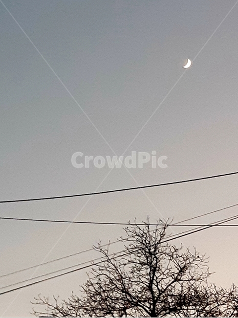 초승달,달,moon,배경,분위기,겨울