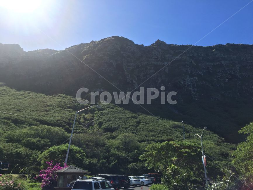 light,flare,빛,플레어,hawaii,하와이,자연,nature,mountains,tree,초록,나무들,산,미국,usa,해외,배경,암벽