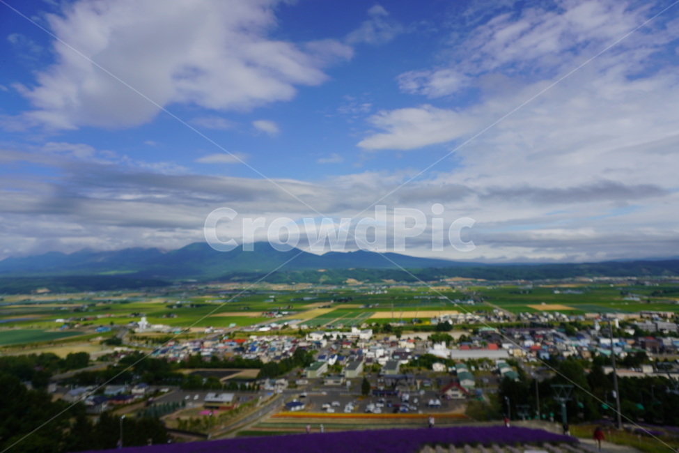 비에이,풍경,후라노,홋카이도,구름,배경,자연,풍경,nature,landscape,경치,outdoors,옥외,scenery