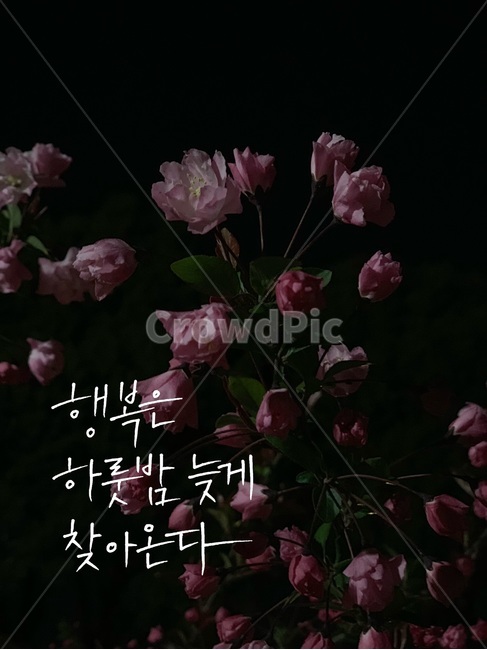 캘리그라피,감성문구,응원문구,감성글귀,응원글귀,행복문구,행복글귀,캘리그라피,손글씨,calligraphy