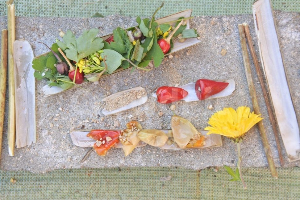 소꿉놀이,시골,영동,동생,개구리반찬,식물,자연,plants,nature,연출,컨셉,콘셉,direction,concept