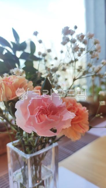 flower,꽃,flowerarrangement,꽃꽂이,flowerbouquet,꽃다발,rose,장미