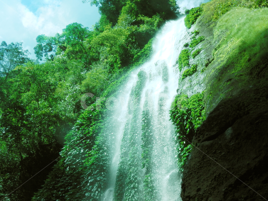 시원함,폭포,물줄기,정글,초록,강,물,waterfall,자연,river,outdoors,nature,옥외