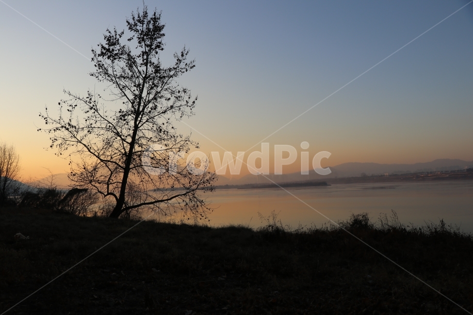 여명,풍경,산책,한강,나무,겨울,계절,winter,season,자연,풍경,nature,landscape,한국자연풍경,한국자연경관,korea nature landscape,outdoors,옥외,sky,하늘,red sky,붉은 하늘,sunset,일몰,dawn,새벽,dusk,황혼