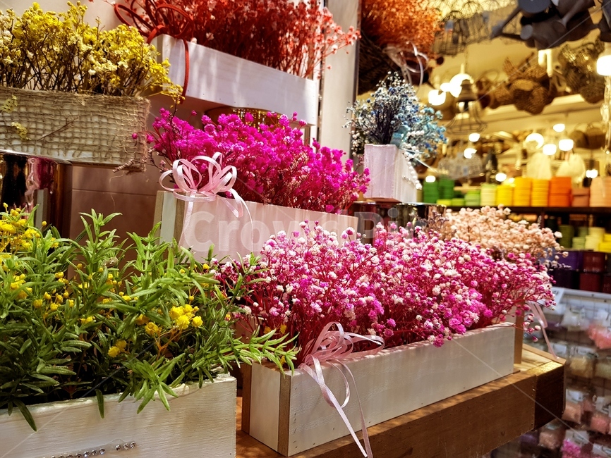 화훼,꽃들,드라이플라워,형형색색,꽃,꽃장식,화분,꽃,flower