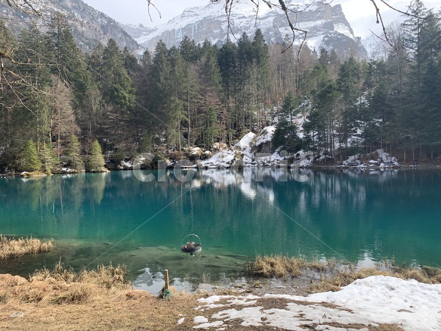 스위스,swiss,switzerland,블라우제,blausee,호수,lake,nature,자연,outdoors,옥외,water,물,plant,식물,tree,나무,전나무,fir,자연,풍경,nature,landscape