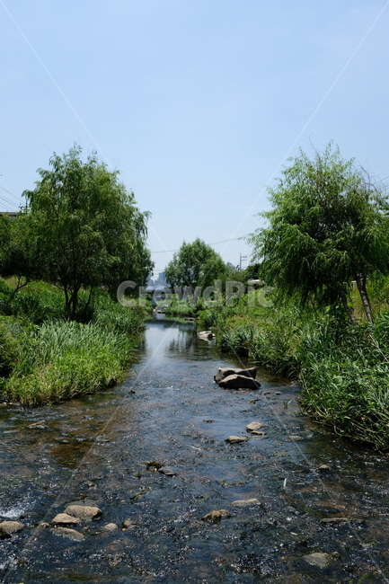 서울,불광천,개천,풍경,산책,자연,풍경,nature,landscape,water,물,outdoors,옥외,land,땅,ditch,도랑