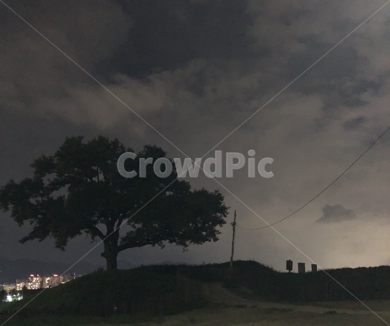 나무,고즈넉,우울,어둠,저녁,자연,풍경,nature,landscape,야경,밤,nightscape,night,식물,plants,나무,trees,wood,field,들,outdoors,옥외,grassland,목초지