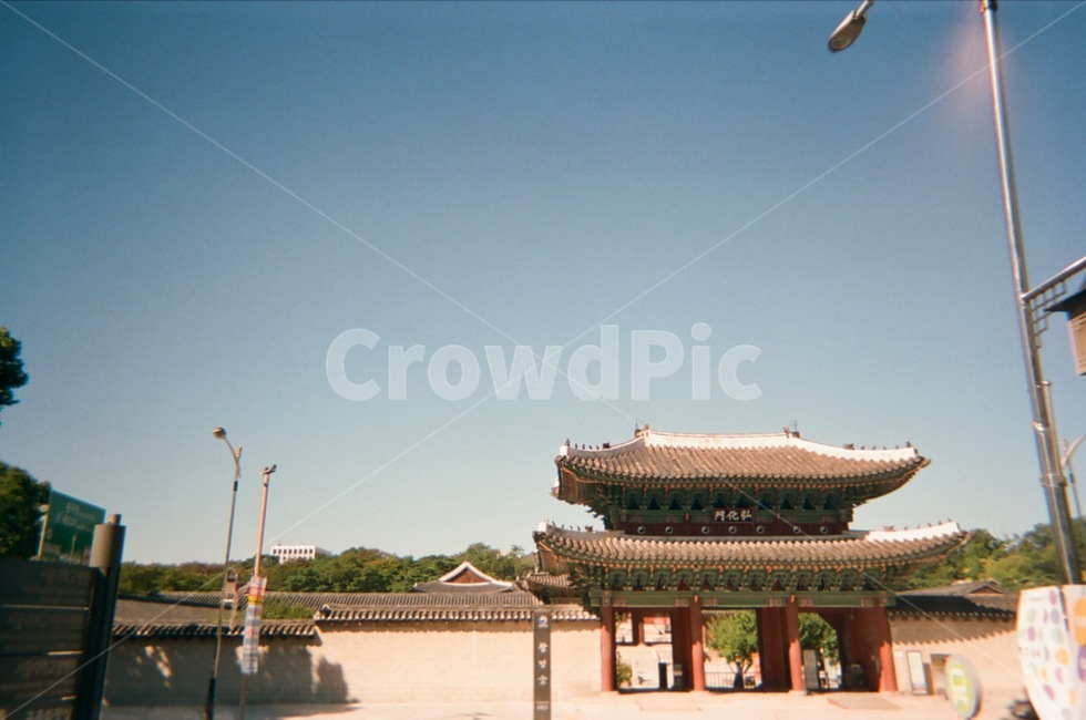 창경궁,궁,궁궐,한옥,전통,건축물,목재,랜드마크,한국전통,한국문화,korean traditional,korean culture,랜드마크,landmark,tourist attraction,한국랜드마크,한국관광지,한국명소,korea landmark,korea tourist attraction