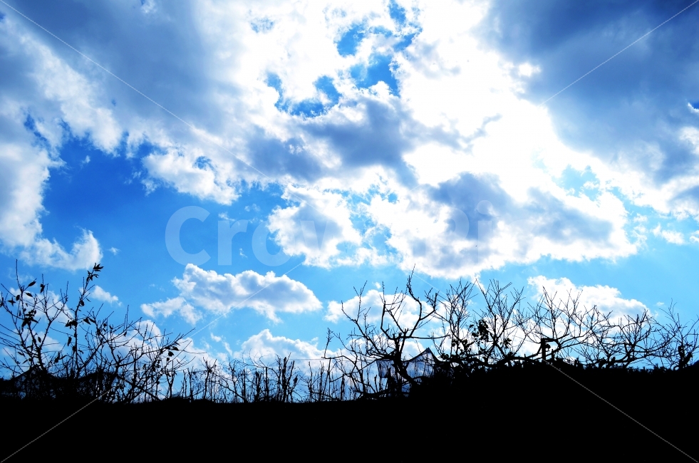 하늘,구름,푸르른,하늘색,뭉게구름,나무,비네팅,그림자,자연,풍경,nature,landscape,실루엣,그림자,silhouette,shadow,outdoors,옥외,azure sky,푸른 하늘,sky