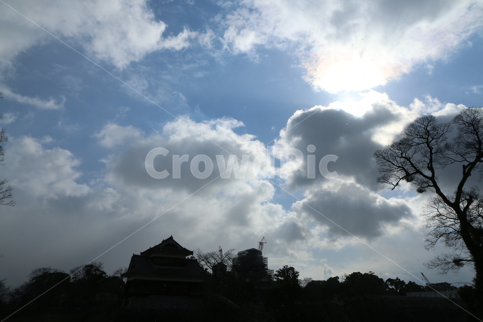 하늘,햇빛,햇살,나무,사원,자연,풍경,nature,landscape,weather,날씨,outdoors,옥외,cloud,구름,cumulus,적운,sky
