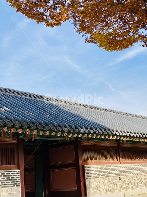 지붕,roof,기와,하늘,구름,나무,낙엽,궁궐,창덕궁,한옥,한국전통,한국문화,korean traditional,korean culture,건축물,건물외관,exterior,building,structure,architecture,construction