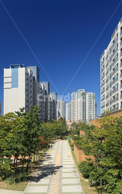 아파트,단지,아파트단지,주거,집,주택,부동산,풍경,건물,빌딩,생활,야외,실외,익스테리어,현대,현대적인,건축,현대건축,길,나무,식물,그린,환경,도시,하늘,보도,보행로,인도,한국,건축물,건물외관,exterior,building,structure,architecture,construction
