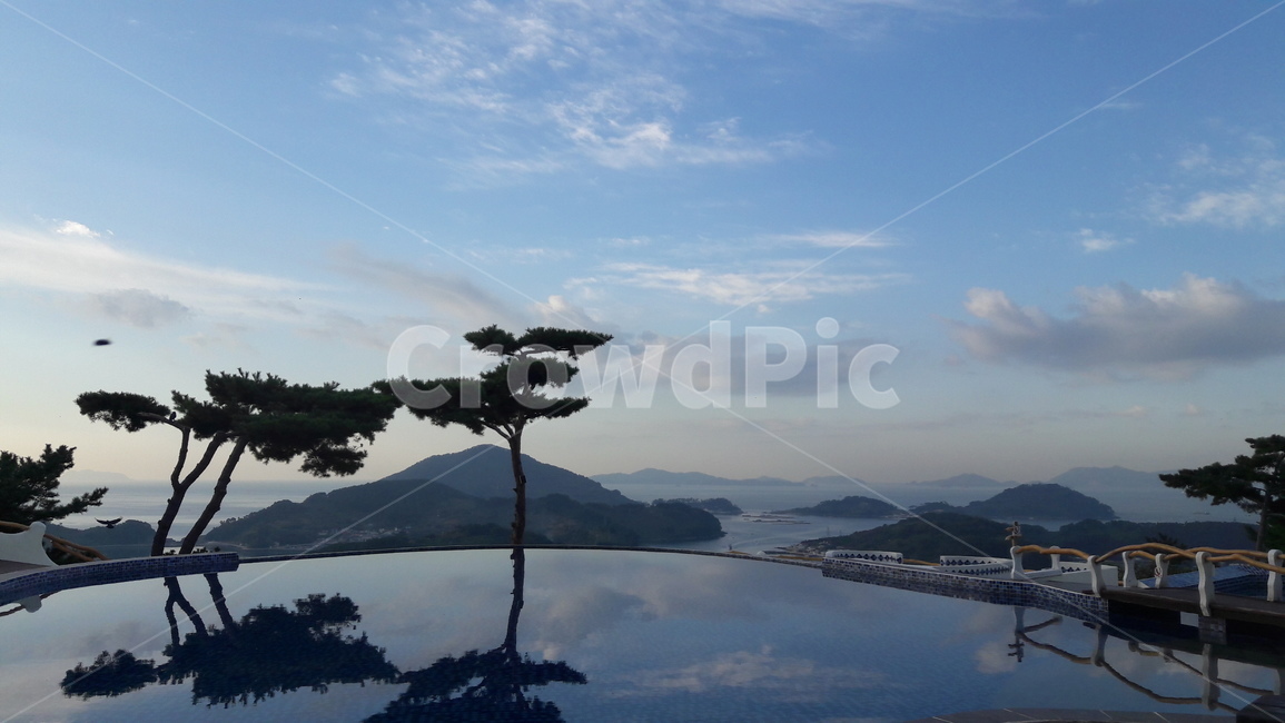 nature,자연,sea,소나무,pine,자연,풍경,nature,landscape