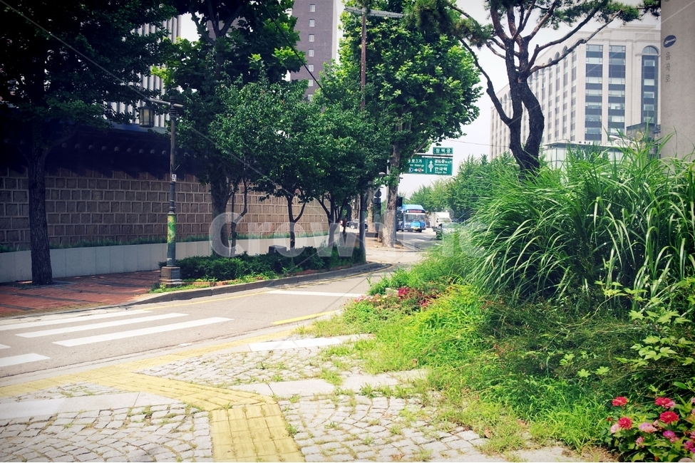 서울,길,여름,풍경,Seoul,여름,계절,summer,season,도시,풍경,city,landscape,한국도시풍경,한국도시경관,korea cityscape,path,통로