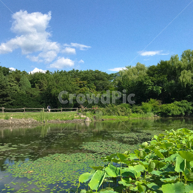 nature,자연,water,물,outdoors,옥외,land,땅,자연,풍경,nature,landscape