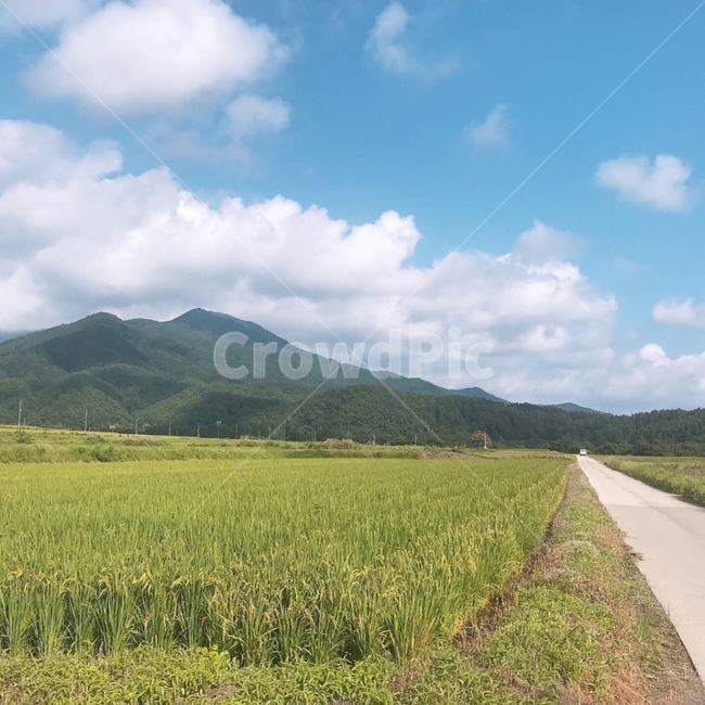 시골길,화창한,구름,산,하늘,드넓은,자연,들판,들,산업,industry,industrial,농업,농사,agriculture,farming,farming industry
