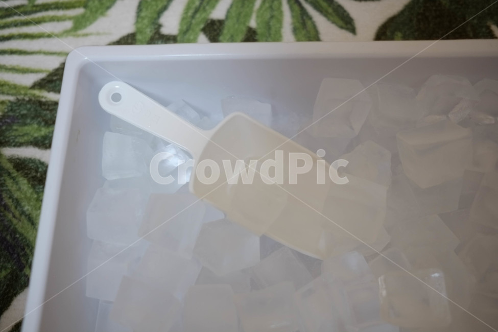 얼음,시원한,냉동,ice,각얼음,차가운,여름,계절,summer,season