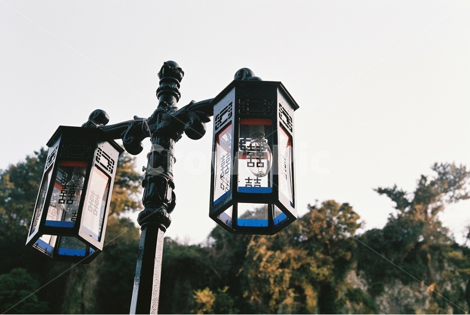 가로등,식물,선명함,대칭,전통가로등,한국전통,한국문화,korean traditional,korean culture