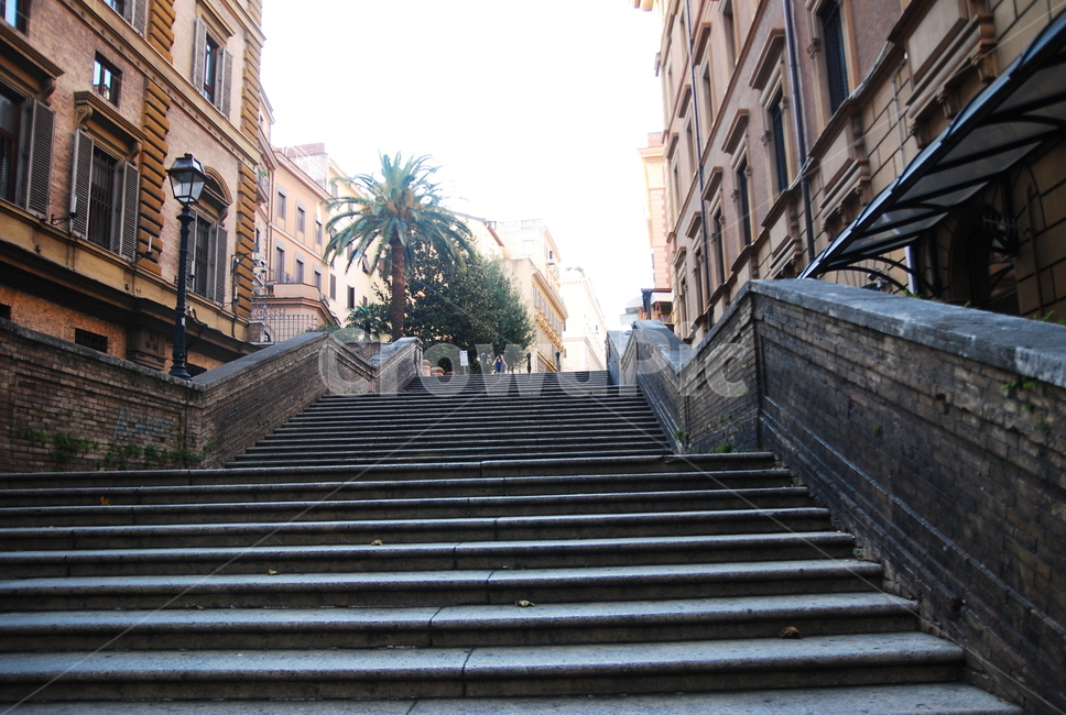 난간,step,stair,tree,parm,rome,해외,외국,세계,foreign,oversea,world
