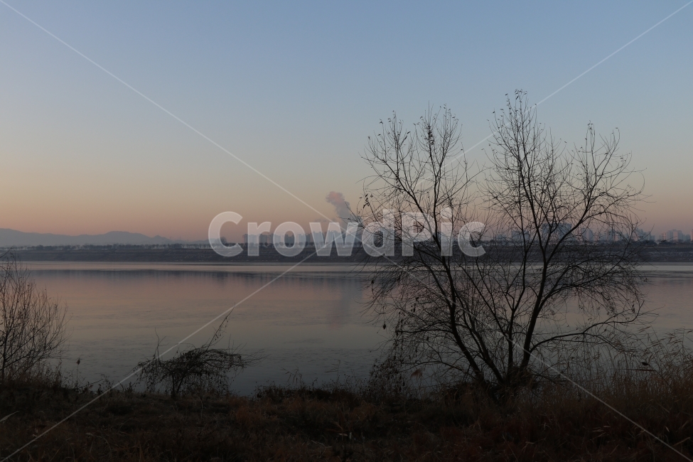 강,나무,아침,여명,겨울,겨울,계절,winter,season,자연,풍경,nature,landscape,식물,plants,나무,trees,wood,outdoors,옥외