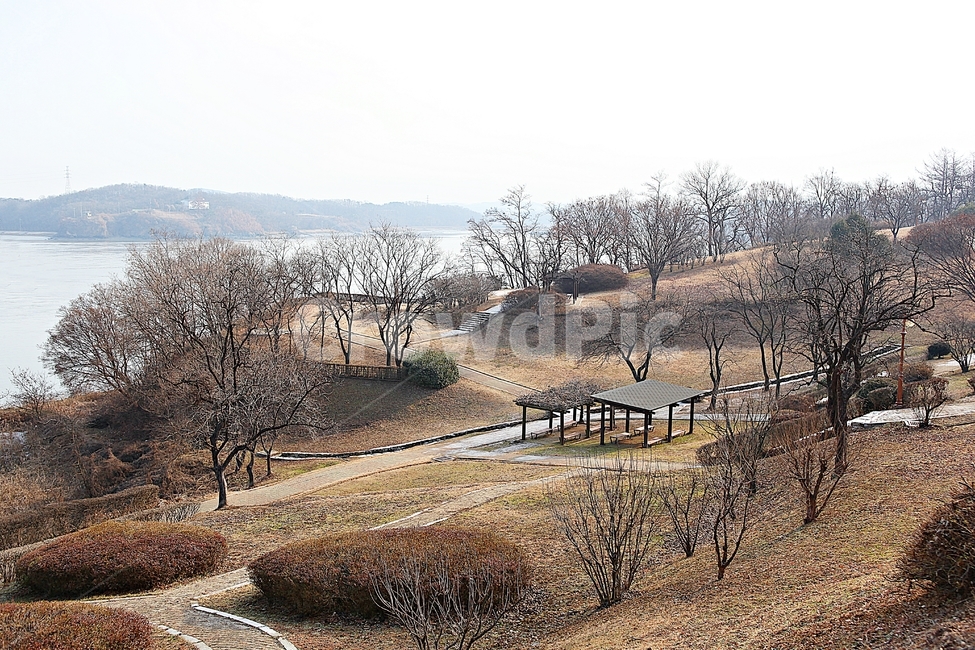 공원,산책로,광성보,의자,나무,식물,자연,풍경