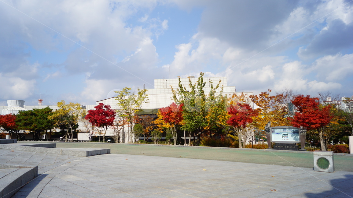 단풍,단풍나무,엽록소,감성,maple,잎,식물,가을,계절,fall,autumn,season,도시,풍경,city,landscape,한국도시풍경,한국도시경관,korea cityscape