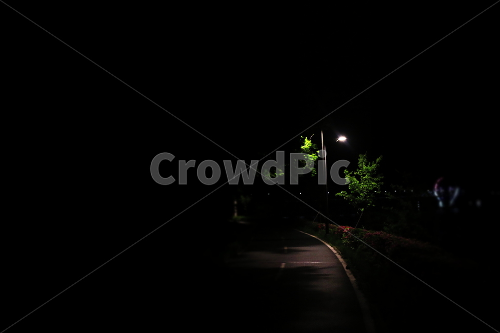 야경,산책길,나무,가로등,밤,빛,불빛,고독,깊은밤,nightview,light,trailway,tree,streetlapm,night,deepnight,loneliness,lonely,야경,밤,풍경,nightscape,night,landscape