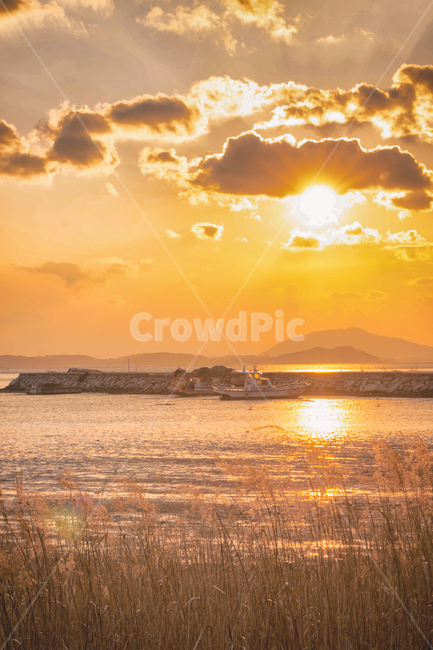 바다,일몰,갯벌,만,풍경,자연,하늘,구름,태양,해,햇빛,해안,바닷가,갈대,sea,sunset,sunfall,sunlight,bay,nature,landscape,sky,cloud,sun,항구,port,배,선박,boat,ship,자연,풍경,nature,landscape,한국자연풍경,한국자연경관,korea nature landscape,색깔,색상,색채,색감,color sense,color sensitivity,feeling of color,light,빛,flare,플레어,outdoors,옥외