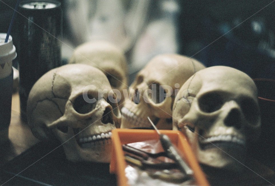 해골,감성,필름카메라,쥬하프,악기,공포,호러,무서운,무서움,horror,terror,fear