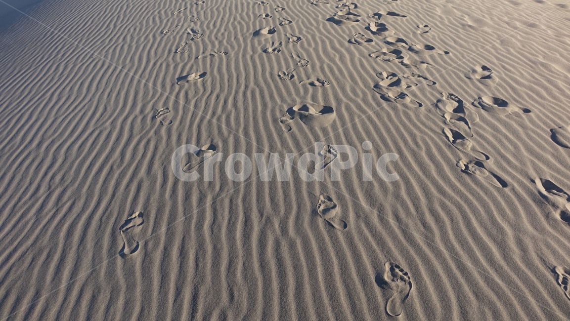 nature,자연,sand,dessert,사막,모래,지평선,horizon,발자국,footstep